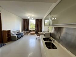 The Sea View (D15), Condominium #570566331